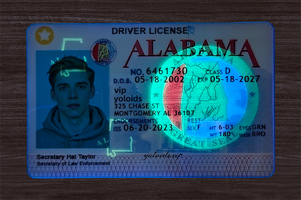 Alabama Fake Dirvers Licence