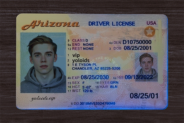 Arizona Fake IDs