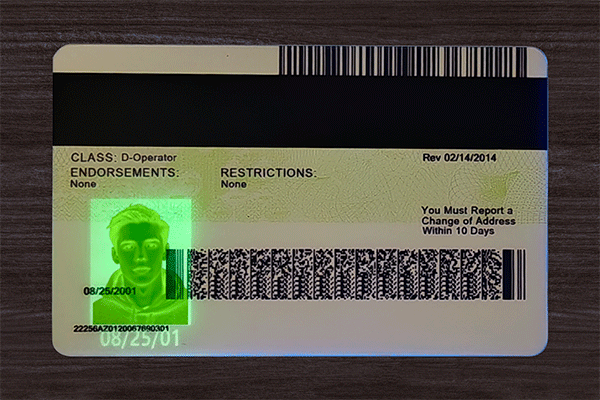 Arizona Fake IDs