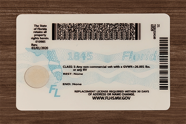 Florida Fake IDs