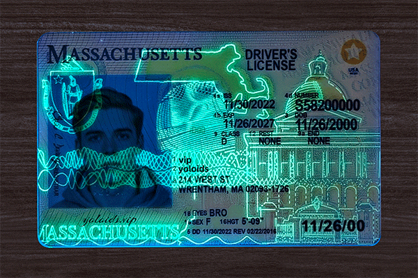 Massachusetts Fake IDs