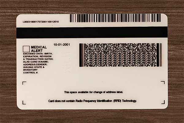 Michigan Fake IDs