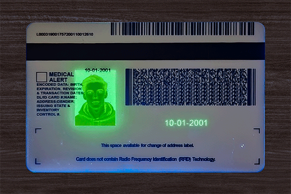 Michigan Fake IDs