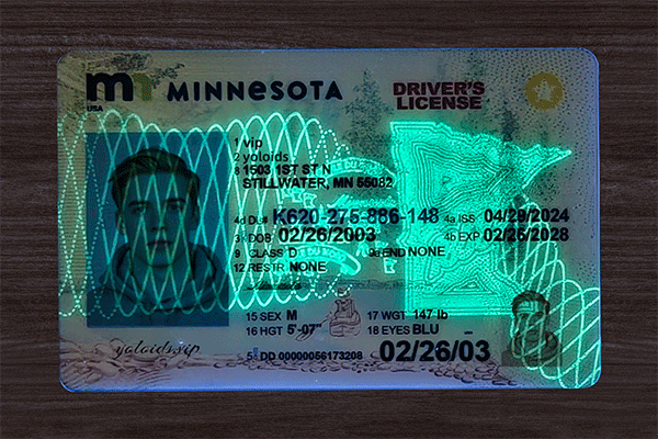 Minnesota Fake IDs