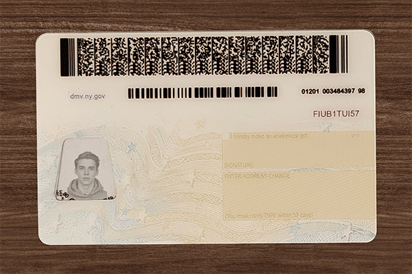 New York Fake Dirvers Licence