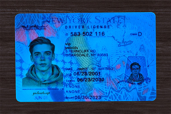 New York Fake Dirvers Licence