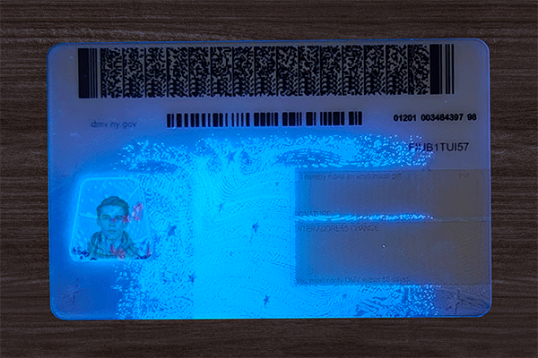 New York Fake Dirvers Licence