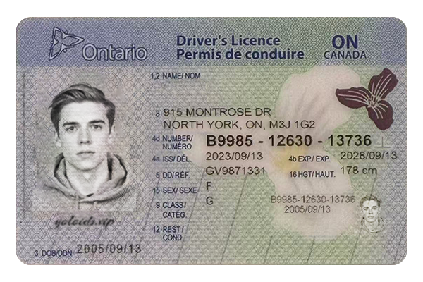 Ontario Fake Dirvers Licence (2025 version)