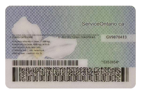 Ontario Fake Dirvers Licence (2025 version)