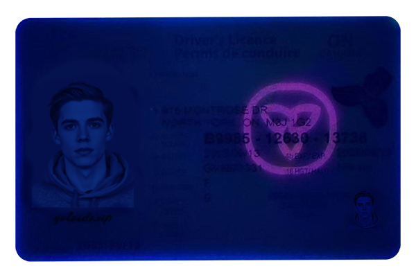 Ontario Fake Dirvers Licence (2025 version)