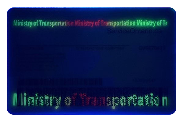 Ontario Fake Dirvers Licence (2025 version)