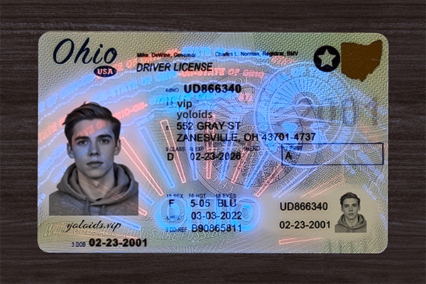 Ohio Fake Dirvers Licence