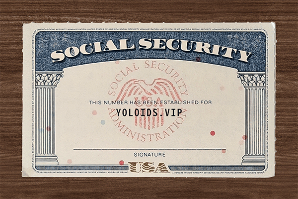 SSN Card