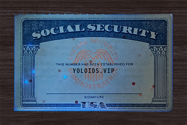 SSN Card
