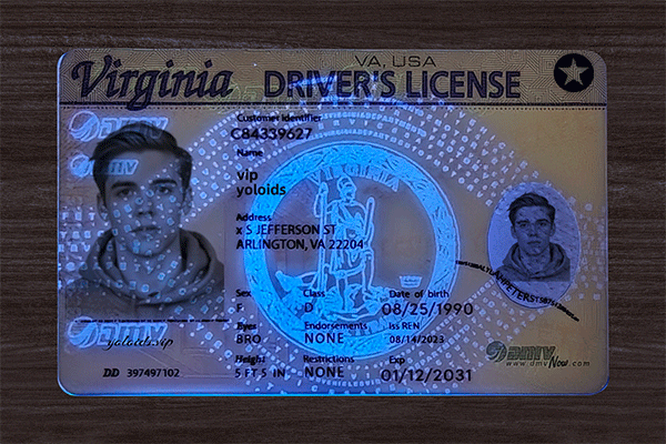 Virginia Fake Dirvers Licence