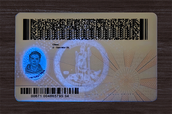Virginia Fake Dirvers Licence